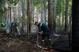 All hotspots of forest fire localized in the Chornobyl zone