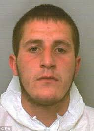 Lewis Talbot, 18, who has been found guilty of the murder of Jake Milton - article-2522164-1A08CB2800000578-593_306x423