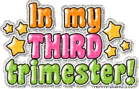 Image result for 3rd trimester party