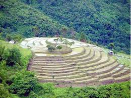 Image result for nagaland images