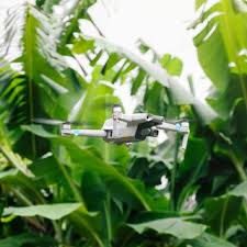 Parc national de la Guadeloupe : l’essor des prises de vues illégales menace la biodiversité