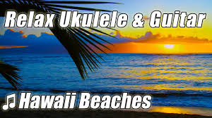 UKULELE Music Instrumental Acoustic GUITAR Playlist Relaxing Island Songs Study Reading Background