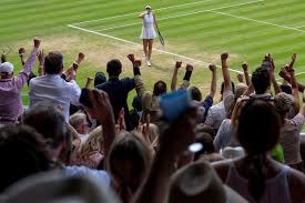 Wimbledon - News update