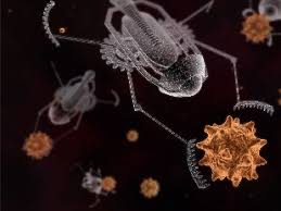 Image result for nanobots