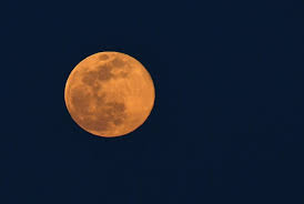 Pink Moon 2025: How the Full Moon Will Impact Your Zodiac Sign