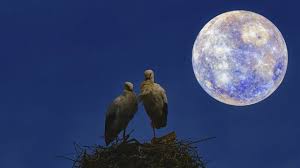 vollmond mai 2026