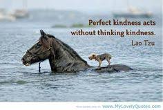 Kindness Rocks on Pinterest | Be Kind, Kind Words and Serving Others via Relatably.com