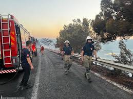 İzmir Büyükşehir Belediyesi - News update