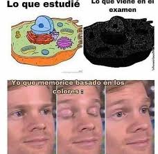 Memes - Jajaja