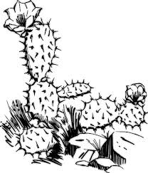 Résultat de recherche d'images pour "cactus coloring pages"
