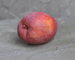 Image of Red Delicious apple with a bite taken out of it on a wooden table