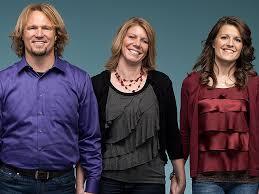 英和画像辞典：(wife (wives))の意味は画像で解説！見るだけで「wife (wives)」の意味が分かる・覚えられる 