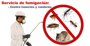 Resultado de imagen para FUMIGACION DE ´PLAGAS