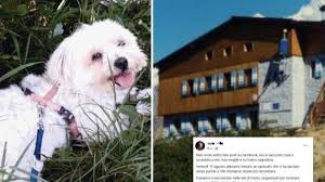 Corriere della Sera - News update