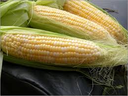 Image result for MAIZE