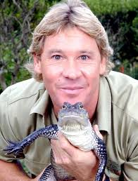 Steve Irwin Crikey Quotes. QuotesGram via Relatably.com