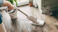 Dunelm's 'powerful' £35 steam mop shoppers say 'changed their life'