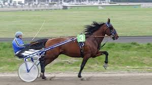 Quinté à Paris-Vincennes du vendredi 29 mai : les pronostics hippiques d'Hervé Fortin