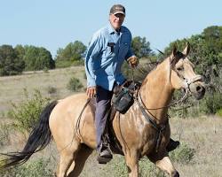 trail riding saddle