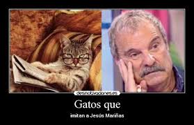 Carteles y Desmotivaciones de claro jesus marinas gatosleyendo &middot; carteles gatos claro jesus marinas gatosleyendo desmotivaciones - gatoleyendo