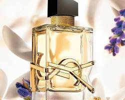 YVES SAINT LAURENT (イヴ・サンローラン) 香水の画像