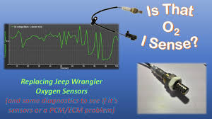 Related video thumbnail