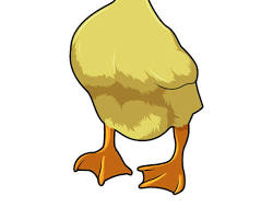 Image of duck wearing sunglasses