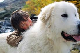 R&eacute;sultat de recherche d'images pour 