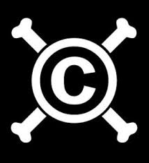 Image result for Piracy
