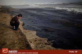 images?q=tbn:ANd9GcSFp5HOyzw8SBbaZBjqdGwvPYjcgAQzOPGUBSdPhOLQDfHMO0KyVA