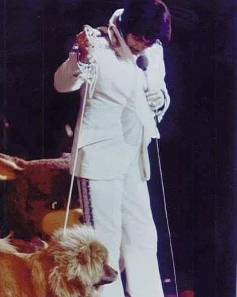 April 1, 1975: Elvis performed two shows at the Hilton Hotel, in Las ...