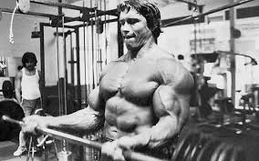 64 Arnold Schwarzenegger Quotes On Bodybuilding, Motivation ... via Relatably.com