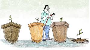 Image result for lic small investment plan