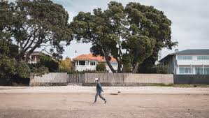 Owner of $15m property fined for cutting trees that blocked view of sea