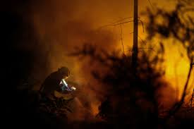 Live updates: Firefighters race to contain wildfires in France and Spain