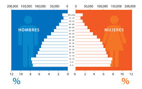 Resultado de imagen de imagenes de la estructura por el sexo