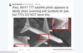 Image result for mh17 wings