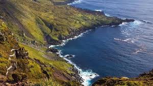 Como cinco gatos em ilha criaram desastre ecológico que custará R$ 127 mi