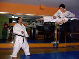 Resultado de imagen de katas de karate