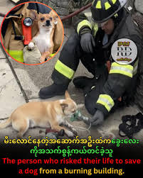 Real - မီးက အရမ်းအန္တရာယ်များတယ်လို့ ကြေညာလိုက်တယ်။ အမိန့်က ရှင်းပါတယ်- ဘယ်သူမှ အတွင်းထဲ မဝင်ရ။ အဲဒီအချိန်မှာ အော်သံတစ်သံ ထွက်ပေါ်လာတယ် ...