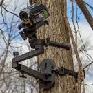 Tree Arms - Campbell Cameras