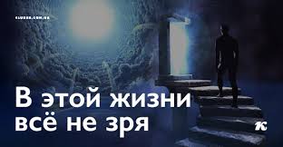 Картинки по запросу В этой жизни всё не зря