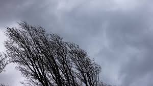 Sturmböen zum Wochenbeginn: Amtliche DWD-Wetterwarnungen in diesen Gebieten
