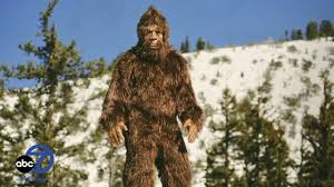 Bigfoot Heard ‘ѕсгeаmіпɡ and Whooping’ in Connecticut’s Sasquatch Hotspot, Spooking Local Wildlife. n
