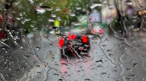 Dn7 : ce qu'il faut savoir — image 3