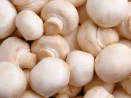 Image result for mushroom