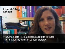Dr Ana Costa-Pereira speaks about the course format for the MRes in Cancer Biology. Information; Related media; Search - dr-ana-costa-pereira-speaks-about-the-course-format-for-the-mres-in-cancer-biology