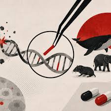 Reparar o DNA pode ser a chave para retardar o envelhecimento, dizem cientistas