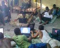 Image de Brouteur Côte d'Ivoire