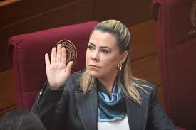 ¡Escándalo en el Congreso! Lizarella vs. Benítez: ¿Qué se oculta? - Imagen principal del artículo